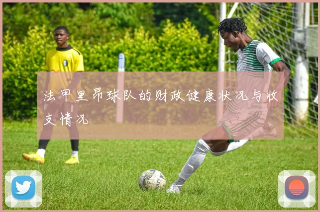 法甲里昂球队的财政健康状况与收支情况
