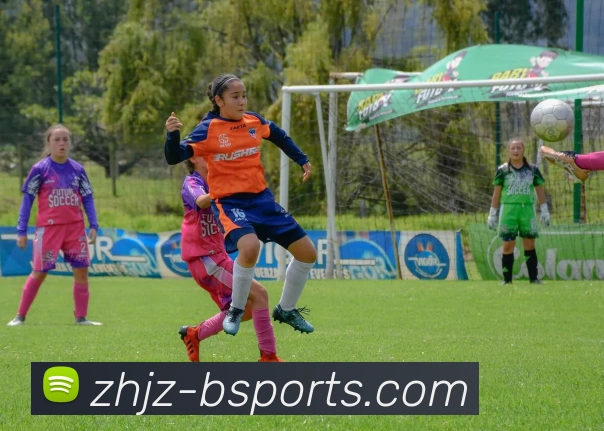 B体育Bsports平台生态图